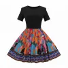 Sukienka Barwna Elegancja